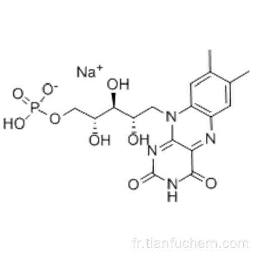 Riboflavine-5-phosphate sodique CAS 130-40-5